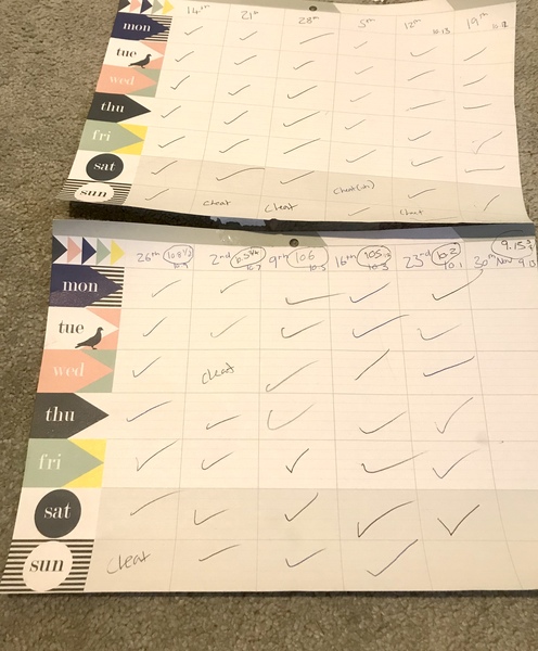 Pre-Christmas Low Carb Bootcamp - the lucky 7