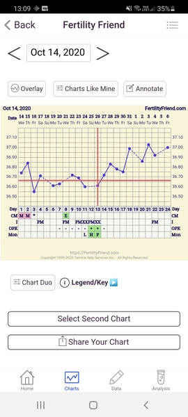 TTC cycle 1 (just come off pill) for #1