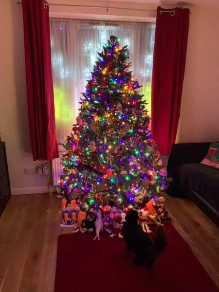 Why don't people use coloured lights anymore?!