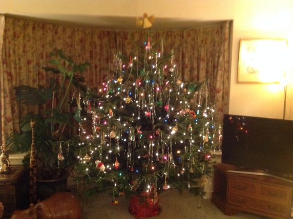 Get your trees out!!!!!