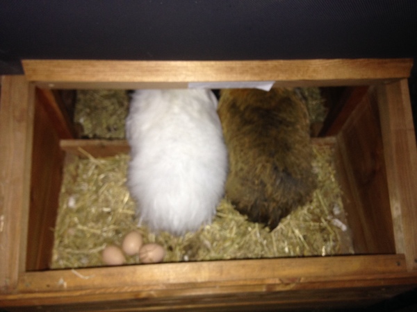 Come and tell me your dull and unexciting news 6: Calmly through the day