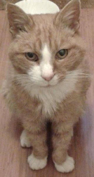 Westministenders: Its the waiting that kills you