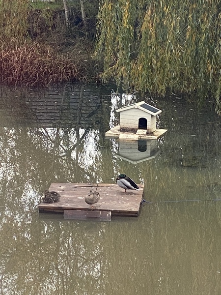 NOT what I expected to wake up to this morning...