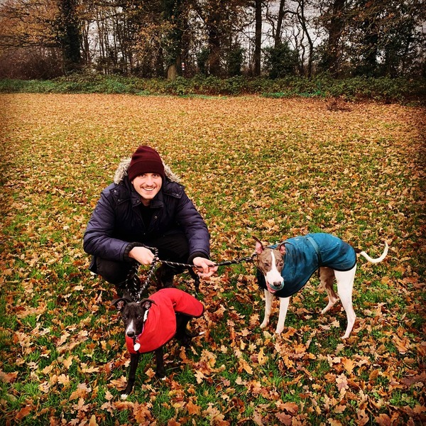 To ask you all your favourite dog breeds?