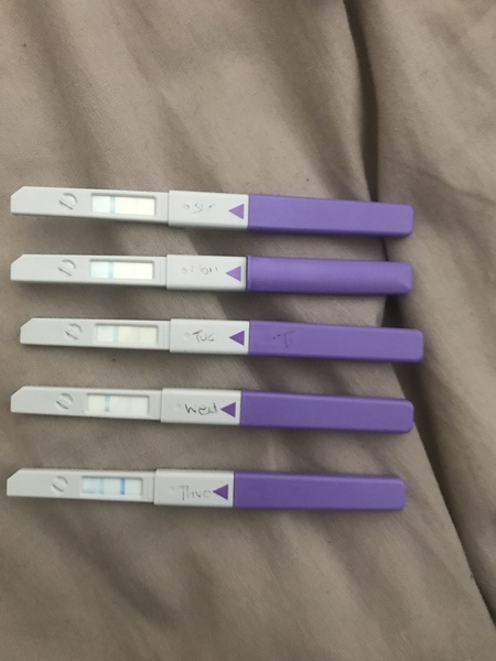 Ovulation Test