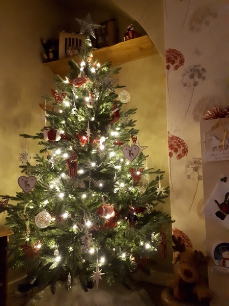 My mum bought me a tree!