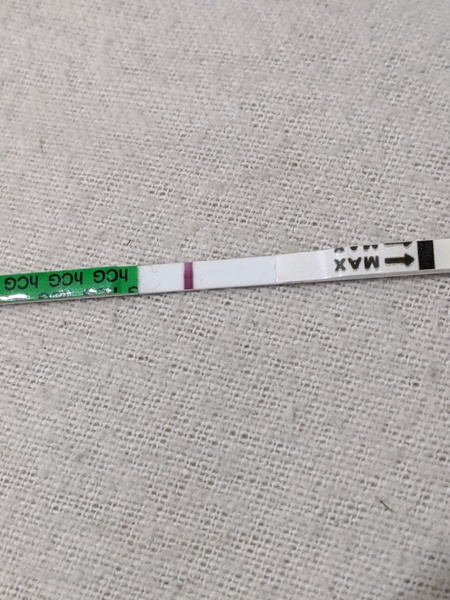 Negative test 6dpo