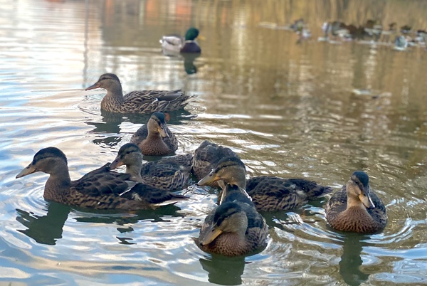 NOT what I expected to wake up to this morning...