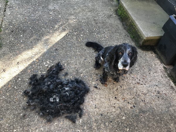 Come and tell me your dull and unexciting news 6: Calmly through the day