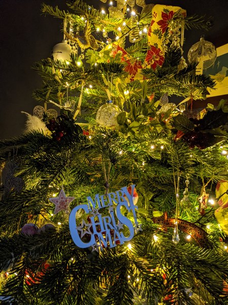 To day if you put a real tree up now it will be dead by Christmas?