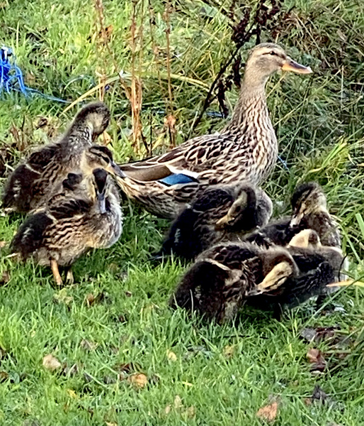 NOT what I expected to wake up to this morning...