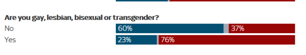 Trump and LGBT+ Voting