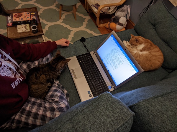 Come and tell me your dull and unexciting news 6: Calmly through the day