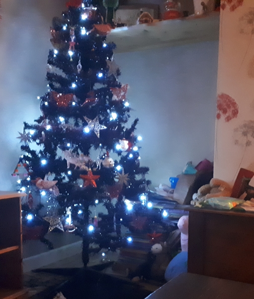 My mum bought me a tree!