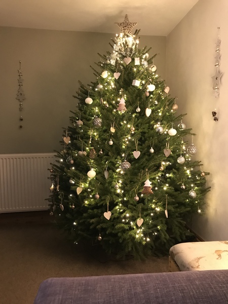 Get your trees out!!!!!
