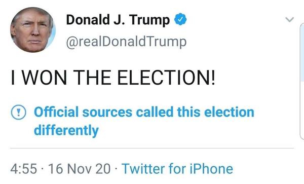 Donald has barricaded himself in the WH and we have Georgia on our minds. (Trump thread #113)
