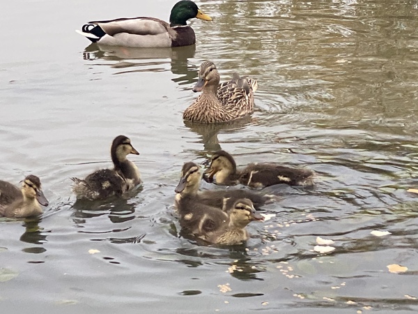 NOT what I expected to wake up to this morning...