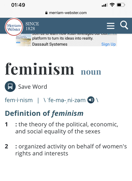 Transinclusive feminists, please help me understand.