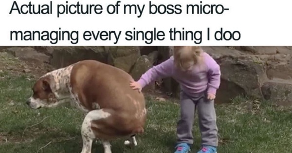 Can we have a meme thread?