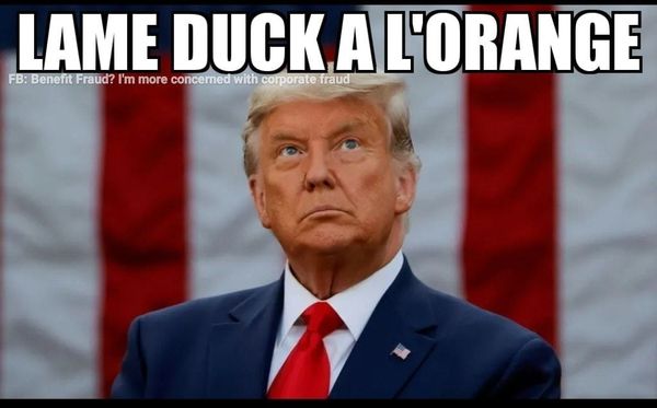 Donald has barricaded himself in the WH and we have Georgia on our minds. (Trump thread #113)