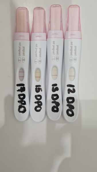 Anyone just had their BFP?