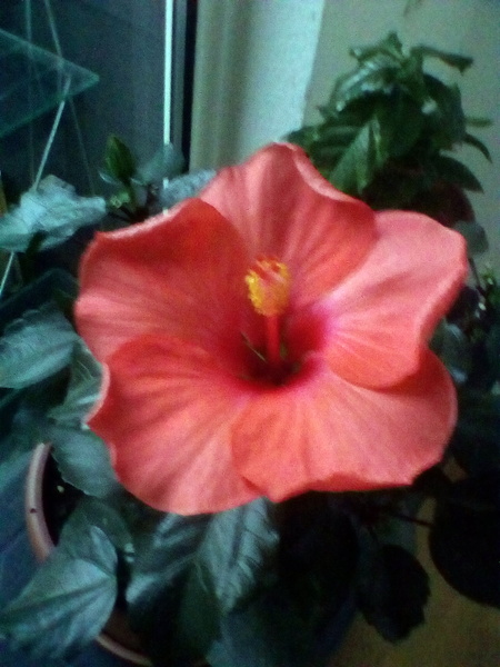 Come and tell me your dull and unexciting news 6: Calmly through the day