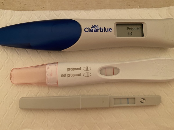 November IVF/FET