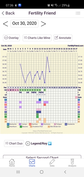 First time charting my bbt can someone help