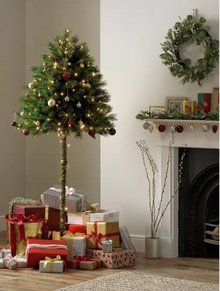Protecting the tree from baby