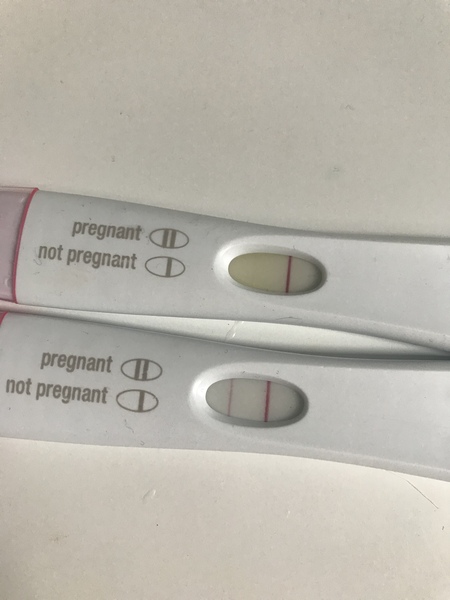 Nov Bus 20 - CD1 can suck hairy b*lls