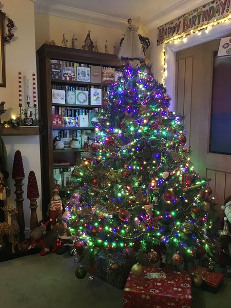 Help me buy a tree please ⚠️