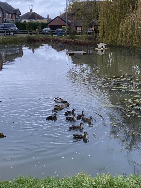 NOT what I expected to wake up to this morning...