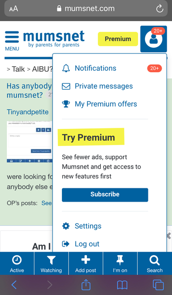 Has anybody had inappropriate pm’s on mumsnet?
