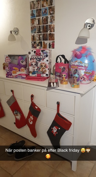 Thread 24 -the one with a shitting flamingo