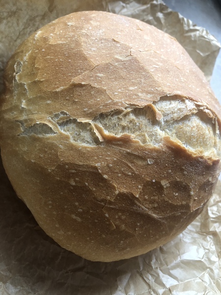Why is my bread so shite?