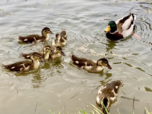 NOT what I expected to wake up to this morning...