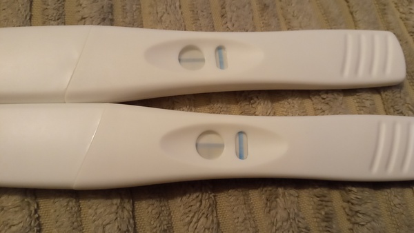 BFP rainbow babies