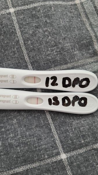 Show me your faint 11dpo frer lines.....