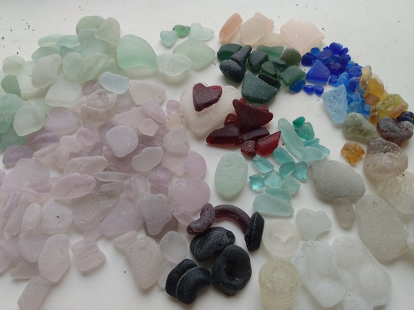 What's the oddest thing you have found while beachcombing?