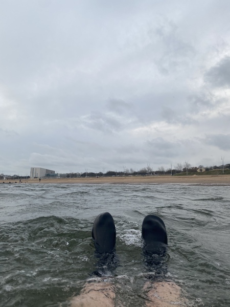 Cold water swimmers including sea, lakes and rivers