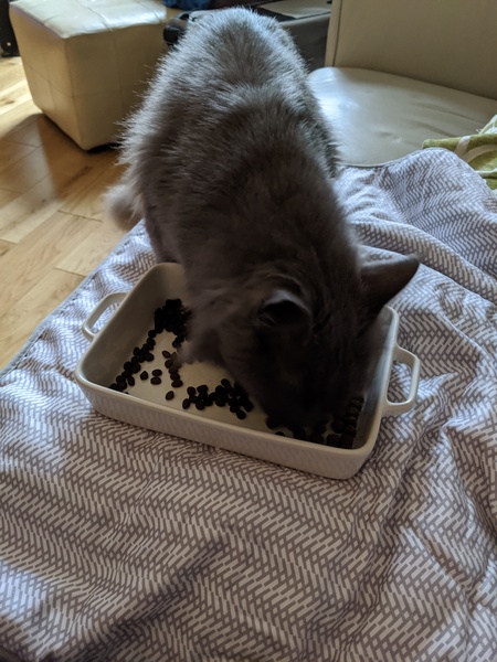 Strange eating habits