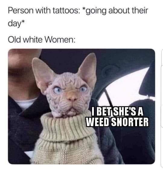 Can we have a meme thread?