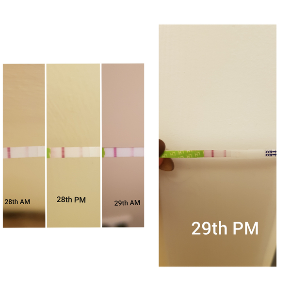 2 DPO - anyone with me?