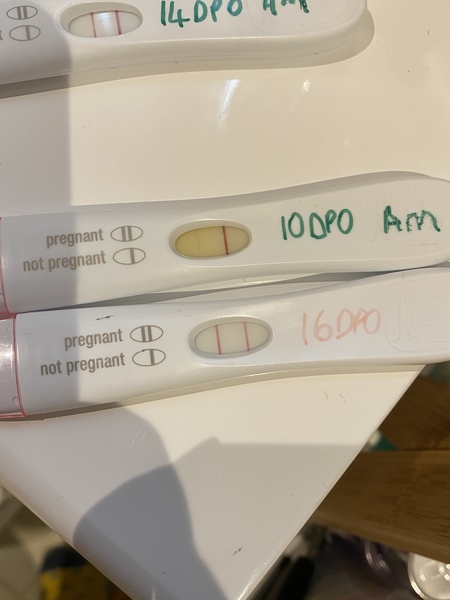 Anyone just had their BFP?