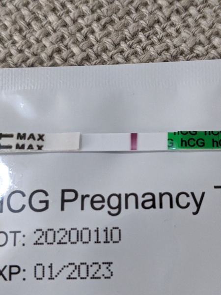 Negative test 6dpo