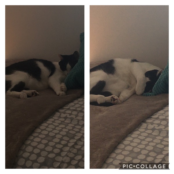 Come and tell me your dull and unexciting news 6: Calmly through the day