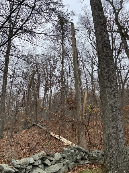 Come and tell me your dull and unexciting news 6: Calmly through the day