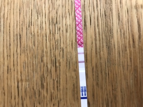Negative test 6dpo