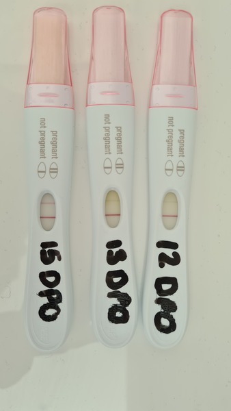 Faint bfp or frer indent?