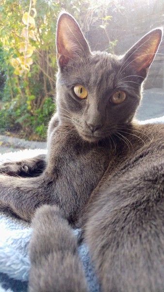 spay operation today - very anxious
